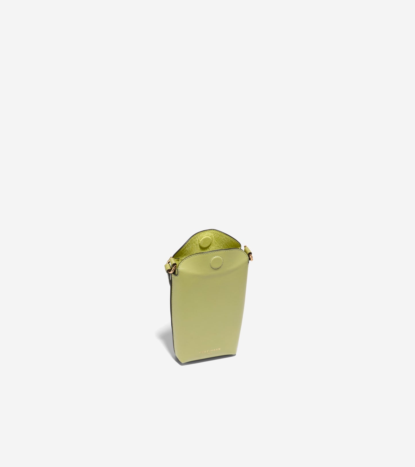 U07687:SWEETP PEA/LIZARD:0000