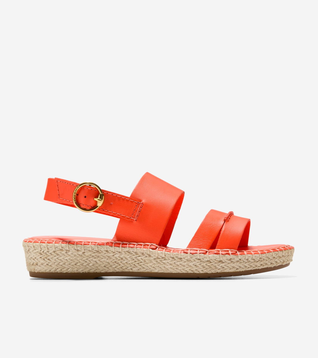 W31183:NASTURTIUM LTR