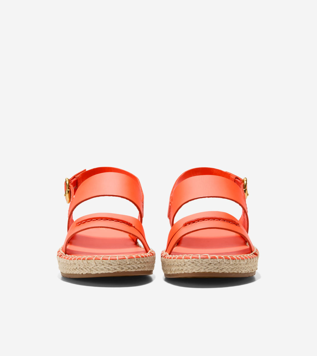 W31183:NASTURTIUM LTR