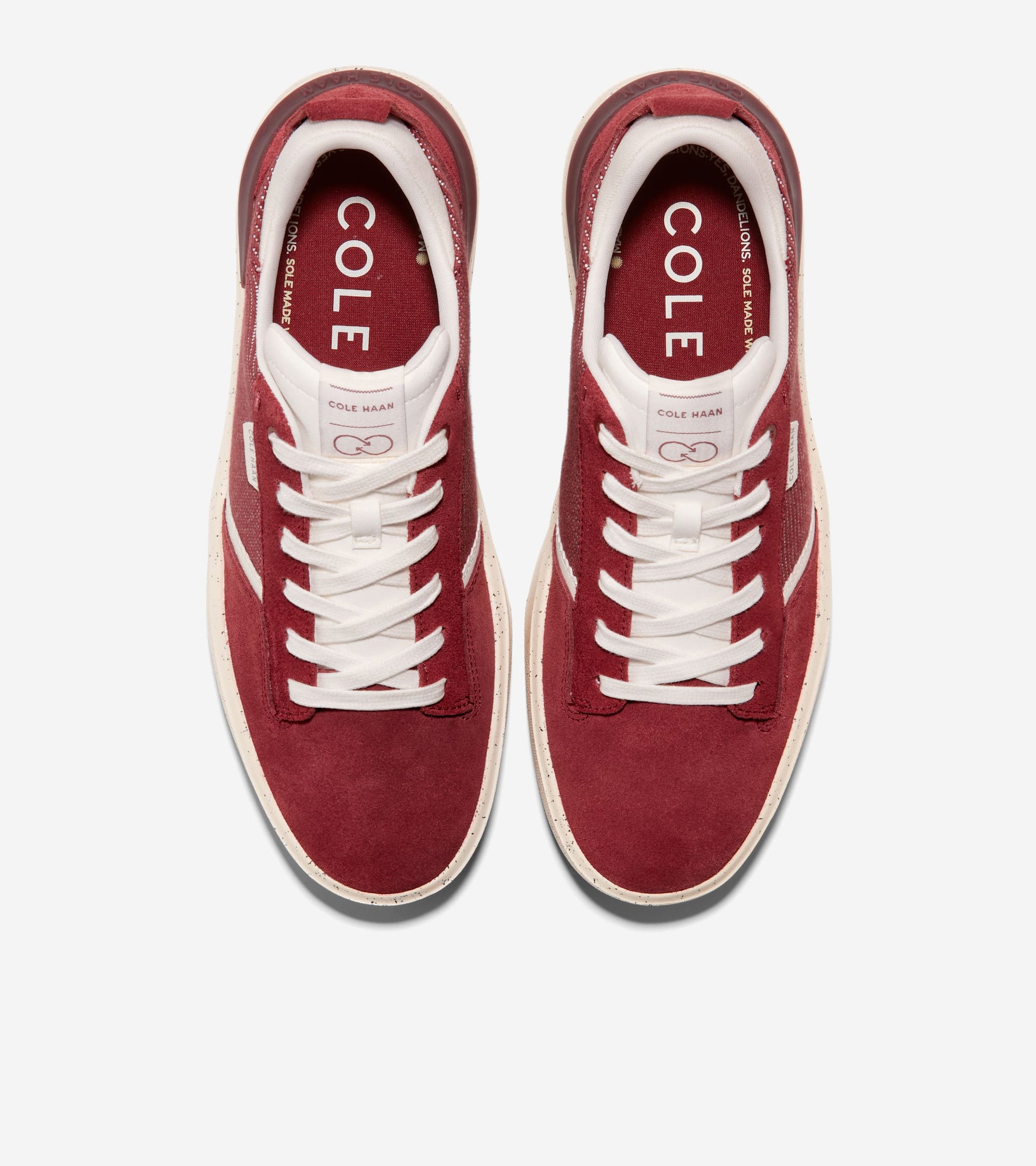 C36752:SYRAH/IVORY