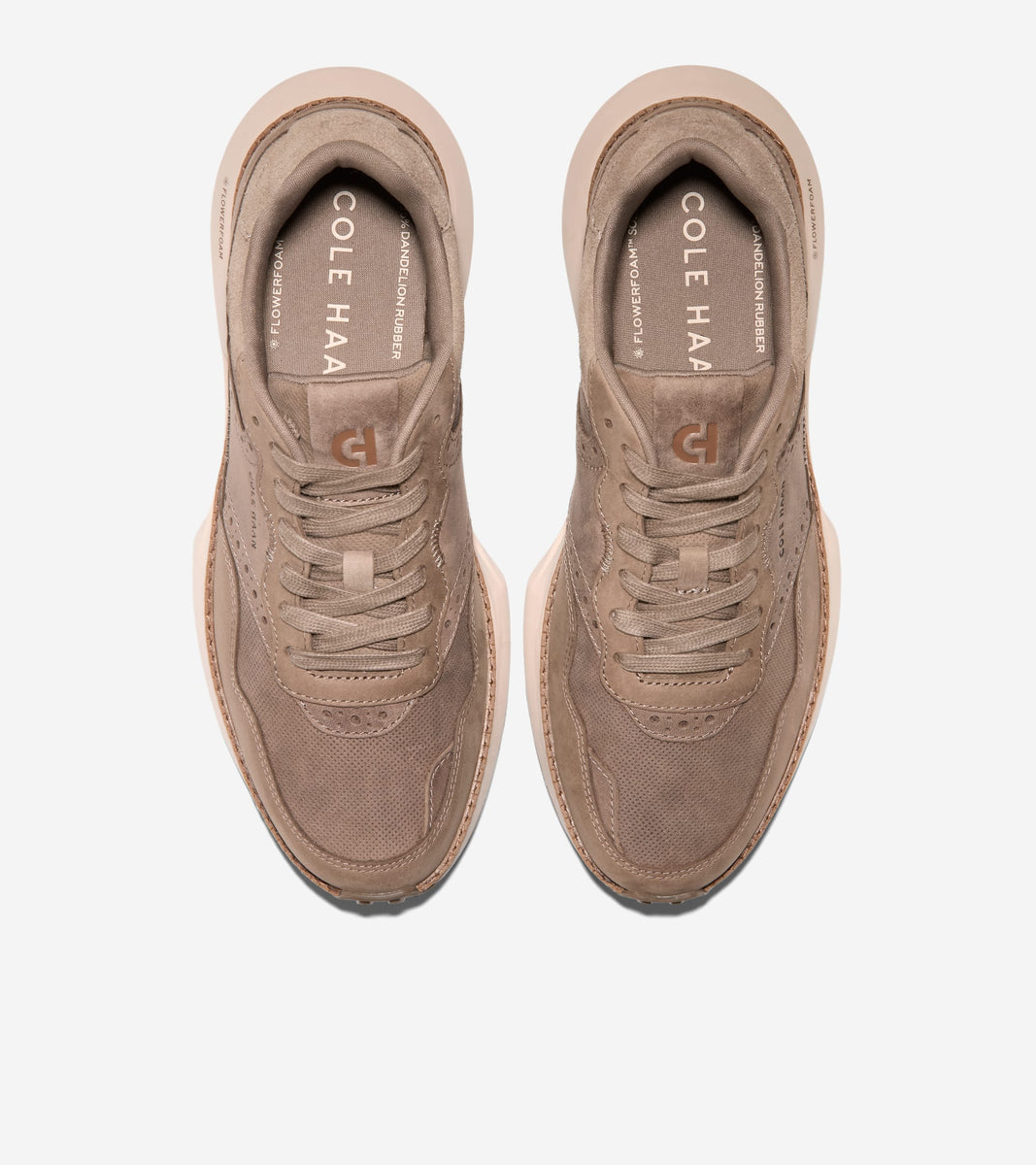 C42248:CH IRISH COFFEE / CH IRISH COFFEE SUEDE / CH OAT